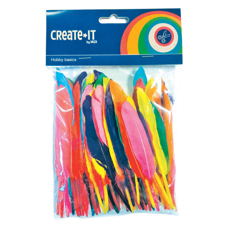 Picture of 3226-Colored Feathers, 100pcs.